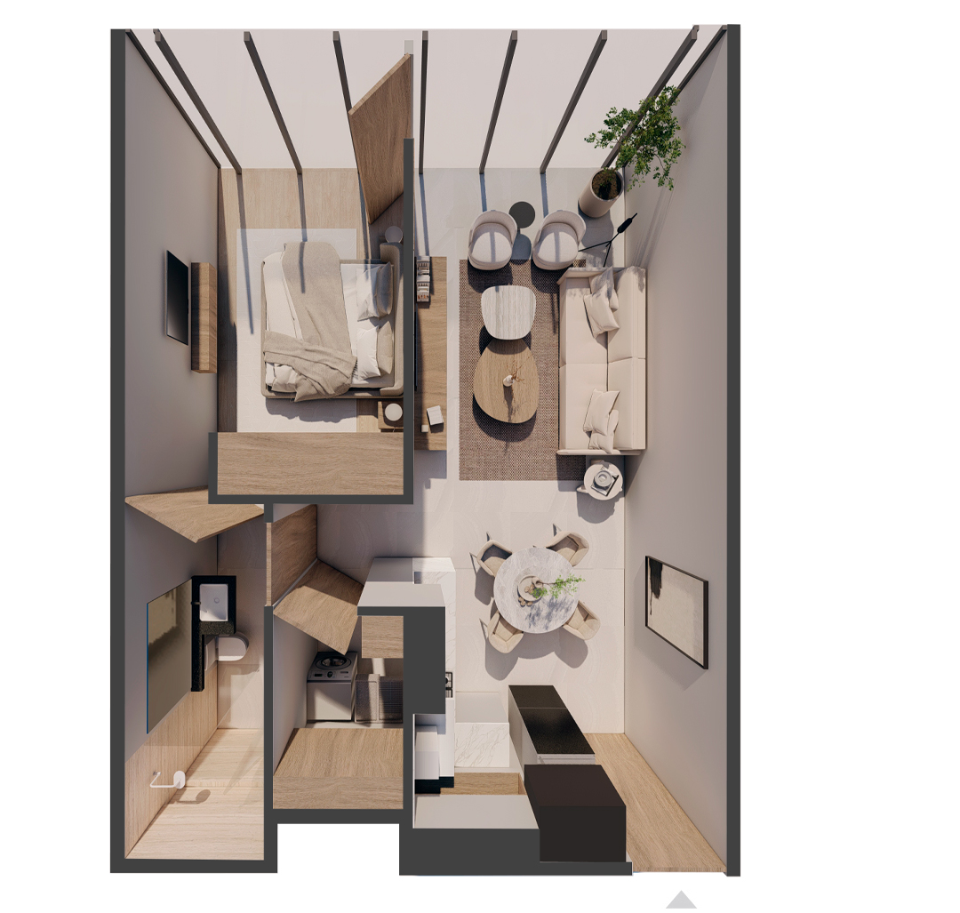 sjt1_planta